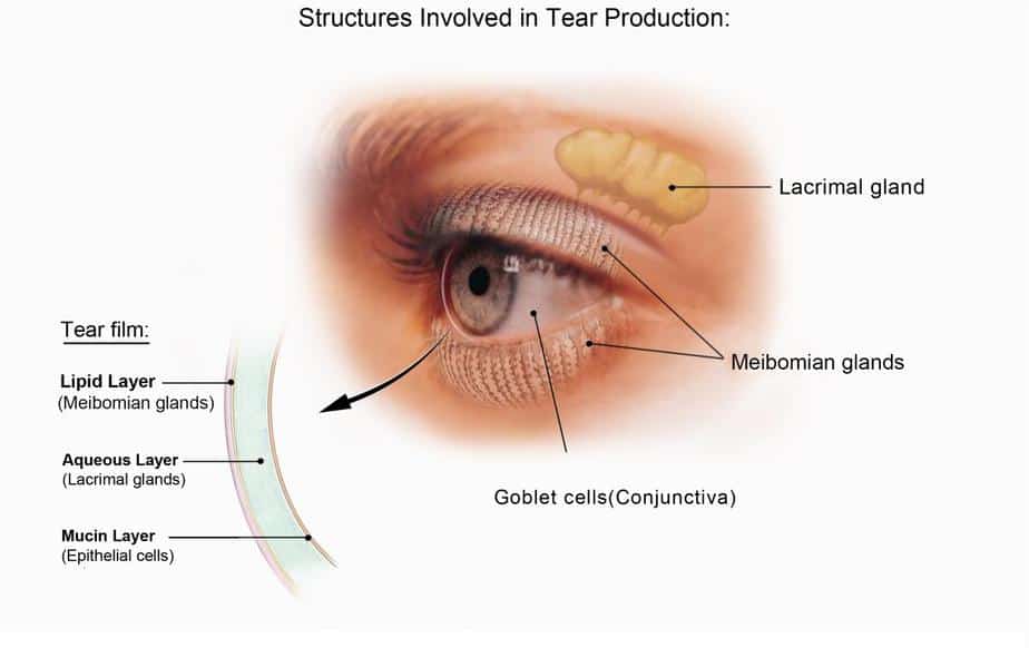 Dry Eyes - Liberty Laser Eye Center glaucoma diagram 